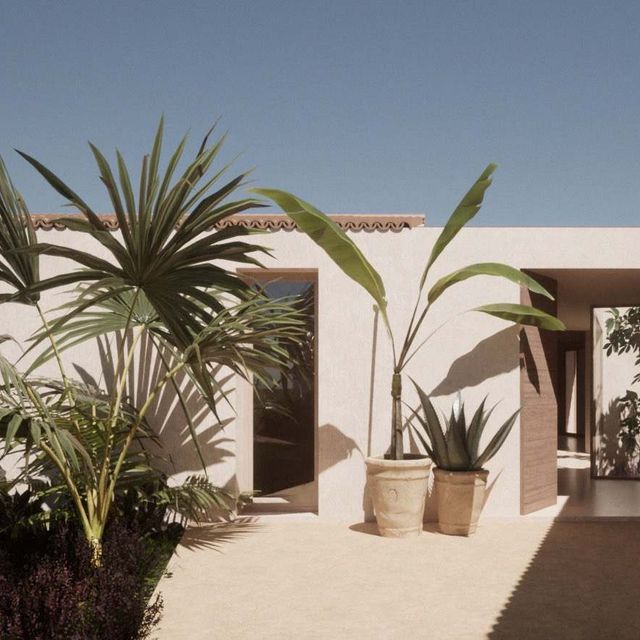 plantas 